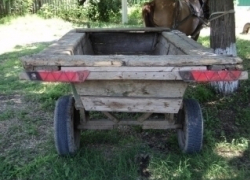 Водитель легковушки сбил повозку с лошадью на Ставрополье