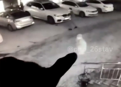 Новые подробности драки в кальянной на юго-западе Ставрополя