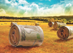 Ставрополье экспортирует сельхозпродукцию на 180 миллионов долларов