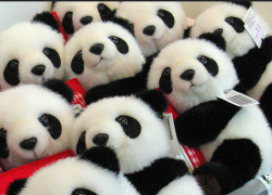 Мужчины украли мягкие игрушки в качестве подарков на 8 марта