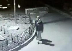 В Ставрополе полицейские нашли воровок 25 саженцев туй