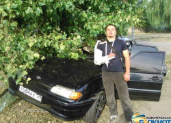 Житель Ставрополя врезался в дерево в Новочеркасске