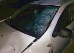 Превысивший скорость лихач на "Рено-Логан" из Нальчика сбил насмерть девушку на Ставрополье 