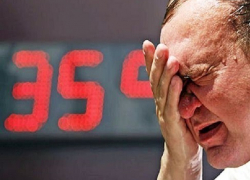 Из-за аномальный жары ставропольских энергетиков переведут в режим повышенной готовности