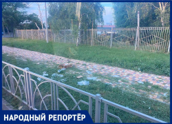 Беспорядок на въезде в Ставрополь неприятно удивил горожанку 