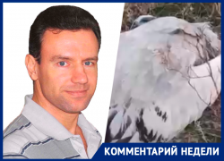 Более семи лет уйдет на восстановление поголовья отравленной дичи на Ставрополье — ученый Михаил Ильюх