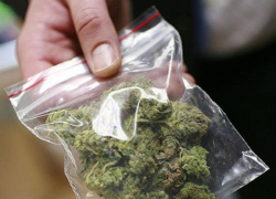 Такси с сюрпризом: коноплю и марихуану обнаружили в машине на въезде в Буденновск