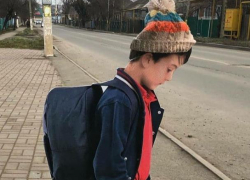 На пешеходных переходах Ставрополья появились картонные дети