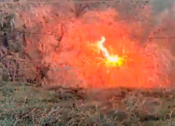 Провода ЛЭП массово воспламеняют замершие деревья в Ставрополе