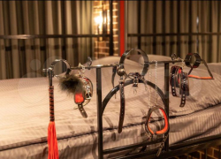 Для стонов есть кляп? Ставропольский юрист прокомментировала аренду квартиры для любителей БДСМ