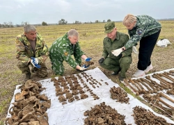 Останки бойцов Красной Армии обнаружили в окрестностях хутора Дыдымкина на Ставрополье