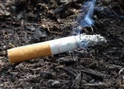 Незатушенную сигарету оценили в 300 часов исправительных работ