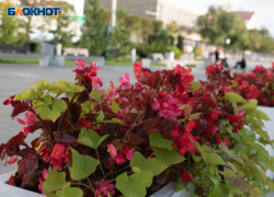 Град и ливень поглумятся над ставропольцами еще и 15 мая 