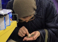 Катастрофой для скудного краевого бюджета могут стать многомиллионные траты на поля и гостиницы к чемпионату мира по футболу-2018