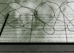 Житель Ставрополья убил товарища, усомнившегося в его сексуальной ориентации