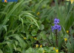 Жара до +33 градусов накроет Ставрополь 28 июля