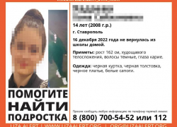 В Ставрополе разыскивают пропавшую без вести 14-летнюю школьницу 