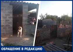 Ждем, пока кого-то загрызут? Нелегальный питомник с  волкодавами появился в Буденновске под молчание приставов и прокуратуры