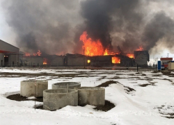 Крупный пожар на мебельной фабрике около Ставрополя попал на видео