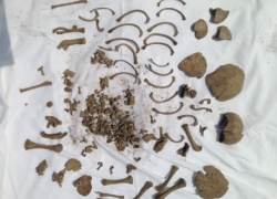 Останки утопленной матерью девочки-младенца нашла на своем огороде шокированная жительница Ставрополья