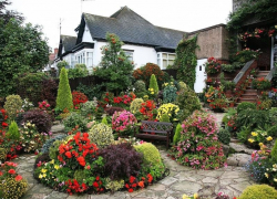 На территории гостиницы правительства  Ставрополья высадят 9200  цветов 