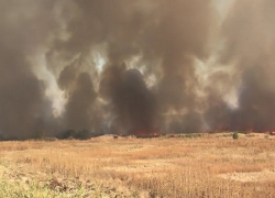 Живописная картина пожара на поле у Старомарьевского шоссе рядом со Ставрополем попала на видео