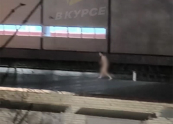 Голый Тарзан прогуливался по крышам гаражей и раскачивался на ели в Ставрополе