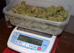 Наркодилера задержали в одном из районов Ставрополья