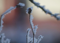 Сильный снег на Новый год: опубликовали подробный прогноз погоды для Ставропольского края на 31 декабря