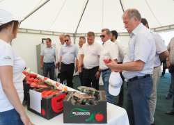 Крупнейший в стране тепличный комплекс появится в Ставропольском крае