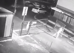 "Жилец против автоматических ворот": комичные попытки ставропольца покинуть двор попали на видео 