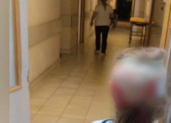 Стая бездомных собак напала на 8-летнюю девочку в Буденновске