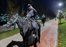 Избивший пенсионеров плеткой всадник из Кисловодска предстанет перед судом