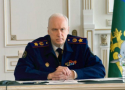 Глава Следкома РФ Бастрыкин взял на контроль дело о травмировании ребенка на детской горке в Пятигорске