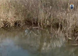 Подробностями гибели 4-летнего мальчика в пойме реки Кура на Ставрополье поделились следователи