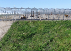 Ставропольским аграриям выделят более тысячи рабочих мест