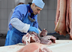 Крупнейший завод в России по выпуску баранины за 2 миллиарда построят на Ставрополье 