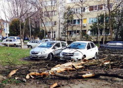 Пятигорский ураган повалил 39 деревьев