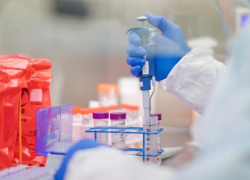 На Ставрополье еще 84 человека заразились коронавирусом