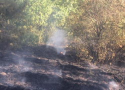 Пожар в национальном парке «Кисловодский» на Ставрополье полностью потушили