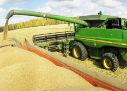 О старте уборки урожая поспорили правительство и минсельхоз Ставропольского края