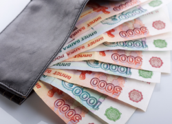 Ставропольчанка похитила 50 тысяч рублей на «нужды класса»