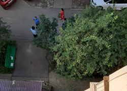 В Пятигорске четырехлетний мальчик выпал из окна 