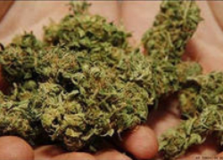 У скандалиста на Ставрополье нашли наркотики