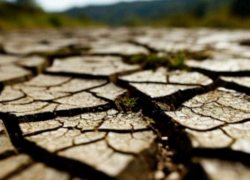 Землетрясение магнитудой 4 зафиксировали на Ставрополье