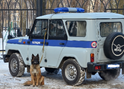 Задержанный на Ставрополье избил полицейского