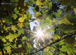 Штормовое предупреждение из-за аномальной жары продлили на Ставрополье