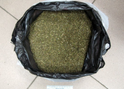 Полкилограмма марихуаны нашли полицейские у жителя Невинномысска