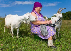 Связисты протянут 900 километров оптоволокна для устранения цифрового неравенства на Ставрополье