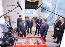 Михаил Мишустин оценил импортозамещенное мороженое, выпускаемое на производствах ставропольской группы Арнест